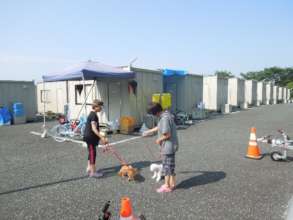 Residents walk their dogs in pet-friendly housing