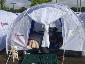 A pet-friendly Peace Winds shelter