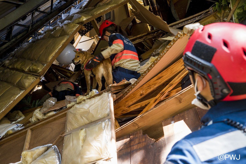 Japan Earthquake Disaster Recovery
