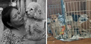 Rumiko and dog candy; Dog Rescue Kumamoto