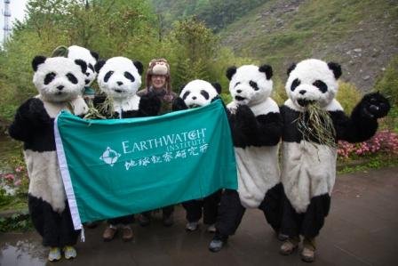 Saving Giant Pandas in China with Earthwatch