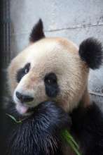 Hang on, let me finish eating...