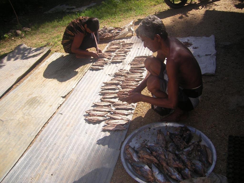Income Recovery for Poor Sri Lankans