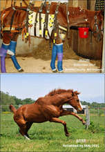 Zodiac Before & After. Courtesy of Days End