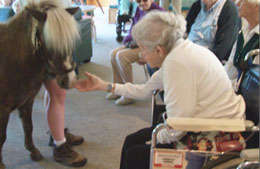 Community Outreach. High Hopes Therapeutic Riding
