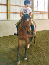 Alexi Goodman aboard Zoey at New Canaan Mounted Tr