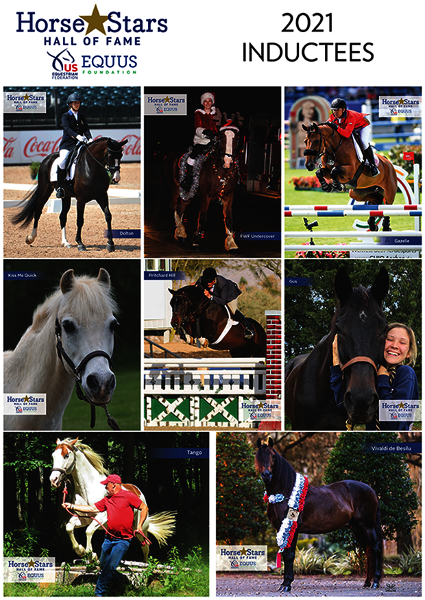 Donate To Equus Foundation