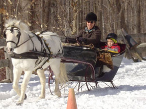 Tumbles Driving Miss Betsy