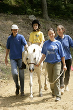 Tumbles - Horses Healing People