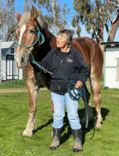 Volunteer Bonnie Plevel with Bonny
