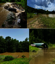 Gerda's Equine Rescue, Inc.