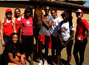 Saving Horses, Inc.