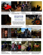 EQUUS Foundation At Work