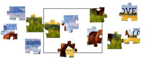 Gift Giving Can Be Puzzling