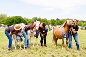 Adoptable Mini Horses Getting Kisses & Homes!