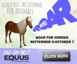 www.equusfoundation.org/ROAR