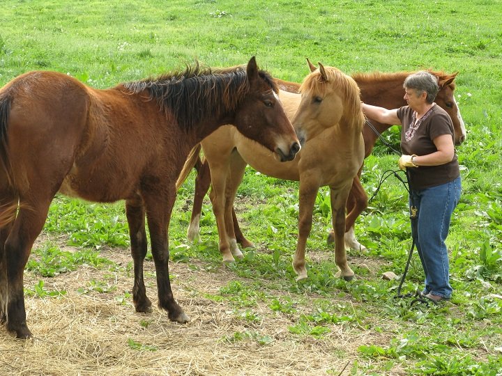 Can You Make A Horse Smile? You Bet! Here's How...