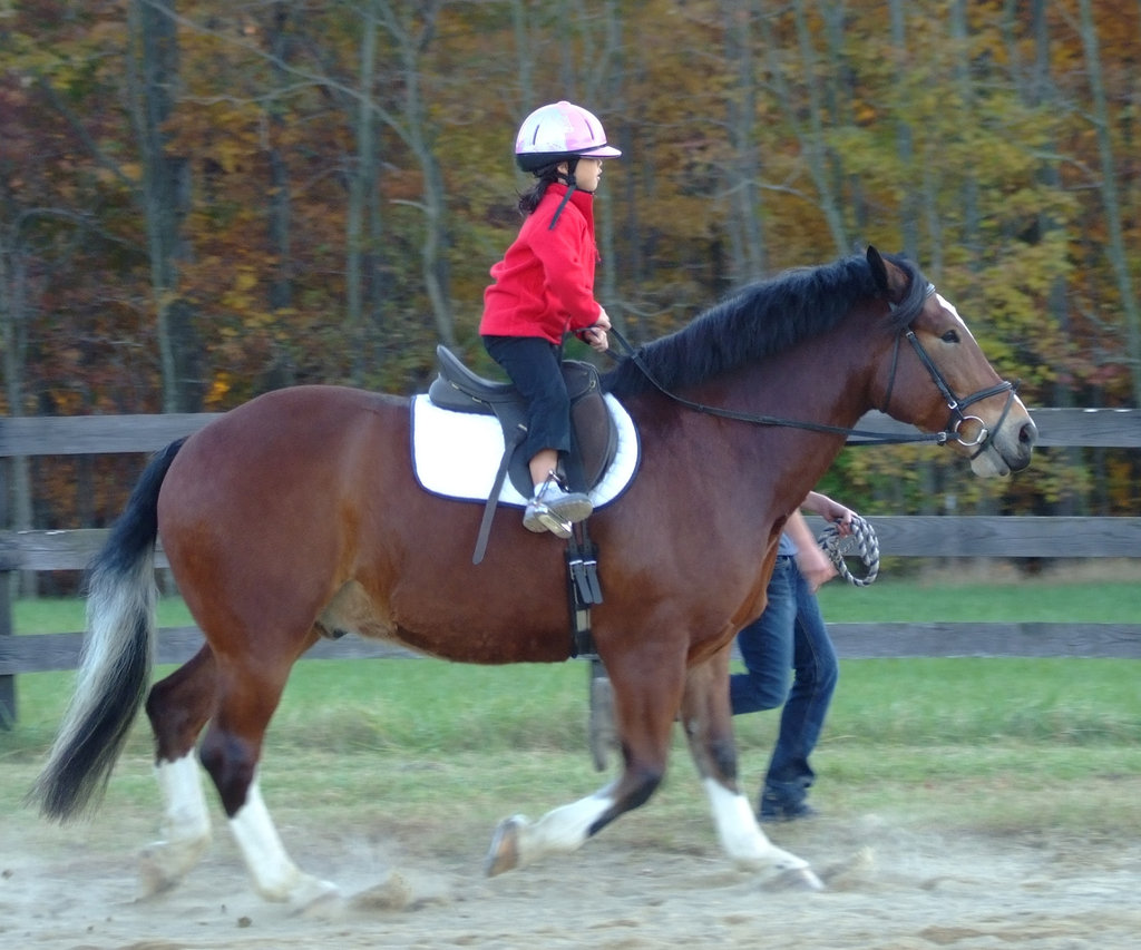 Can You Make A Horse Smile? You Bet! Here's How...