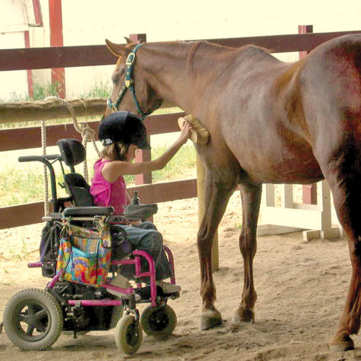 Can You Make A Horse Smile? You Bet! Here's How...