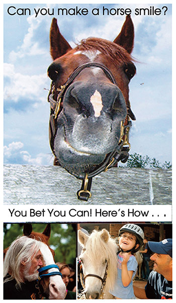 Can You Make A Horse Smile?