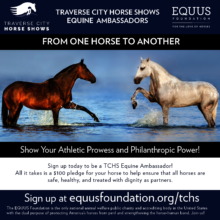 From One Horse to Another