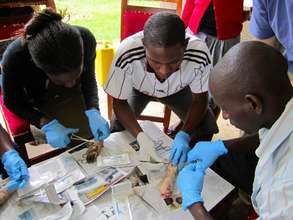 ECP students learning suturing on pigs' feet