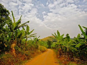The road less travelled