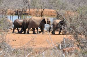 The Beautiful Land Of Eswatini