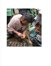 Candelaria Using Egg Cartons to Grow Seedlings