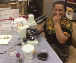 Studying the Microbes Active in Composting