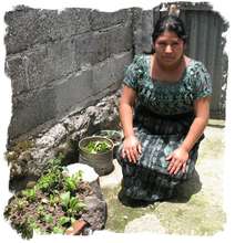 Container plantings in Santa Clara la Laguna