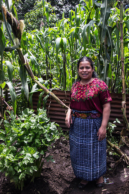 Candelaria Sut Canu, Project Coordinator