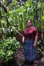 Candelaria Sut Canu, Project Coordinator