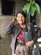 Candelaria with Her New Avocado Tree