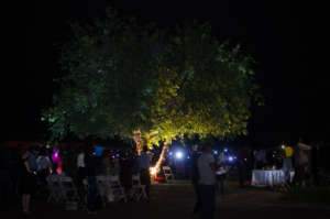 Light up Hope for the Children with Cancer