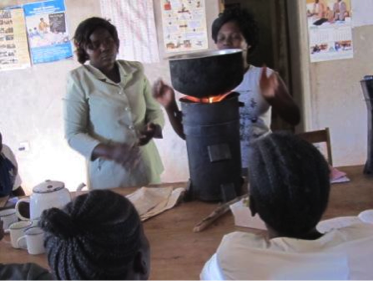 Biochar Generating Clean Efficient Stove Demo