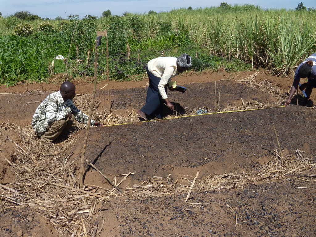 Good Practices in Bioenergy Feedstock Production
