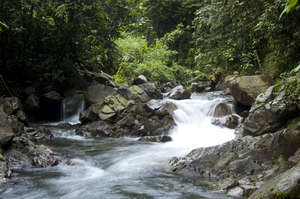 Scenic part of a river that runs through Buayan