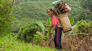 Natural resources are a livelihood source