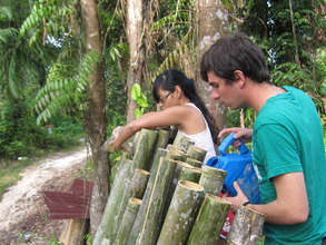 Treating bamboo