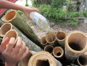 Treating bamboo