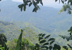 The Crocker Range