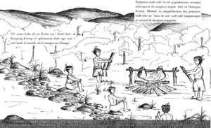 "They held a meeting and slaughtered a pig..."