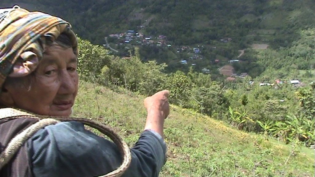 Storytellers have a great influence on the film