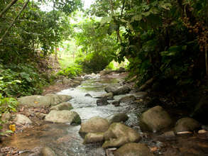 Raw materials for handicrafts come from nature