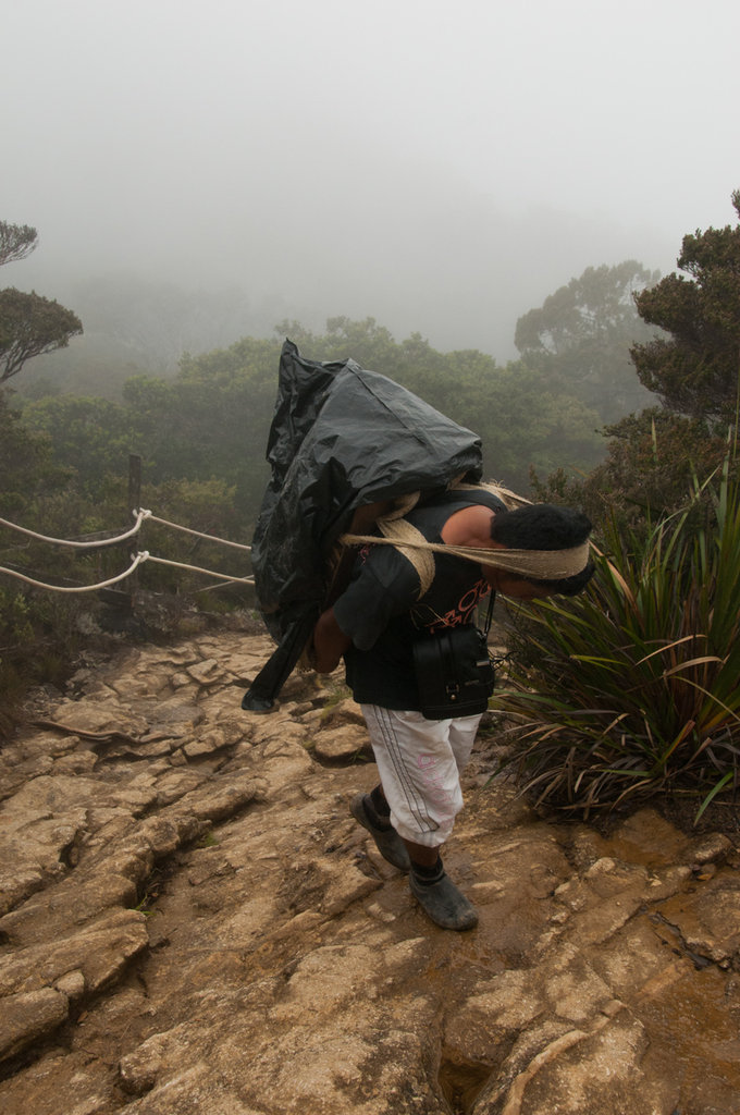 Help Communities in Borneo Protect their Heritage