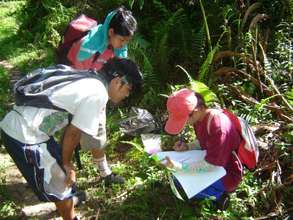 Collecting specimen data