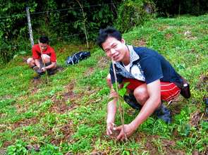 Planting a tree during a community exchange