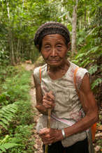 A grandma going to collect plants from the forest