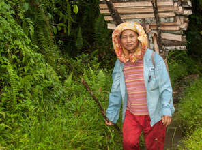 Help Communities in Borneo Protect their Heritage